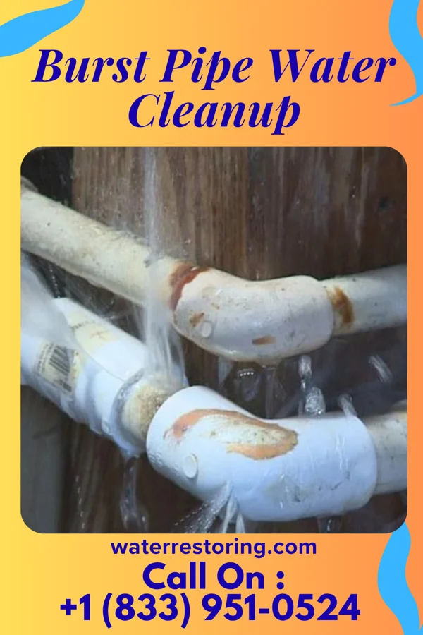 Burst Pipe Water Cleanup in Lower Berkshire Valley, NJ