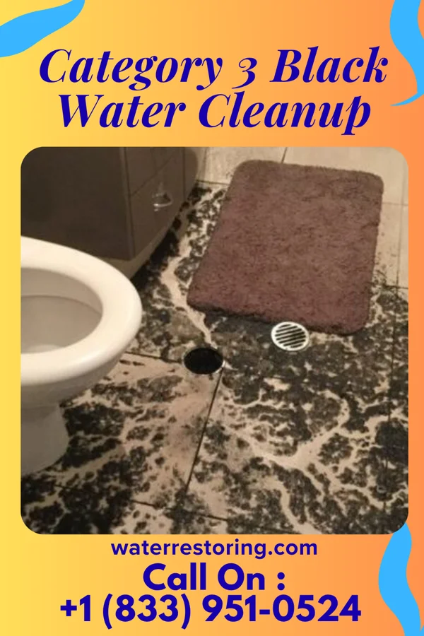 Category 3 Black Water Cleanup in Lower Berkshire Valley, NJ