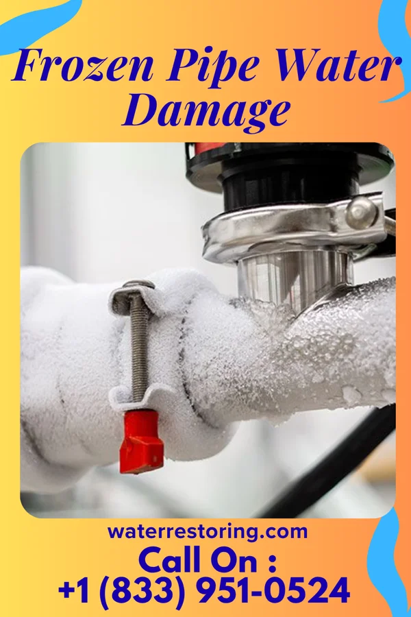 Frozen Pipe Water Damage in Lower Berkshire Valley, NJ