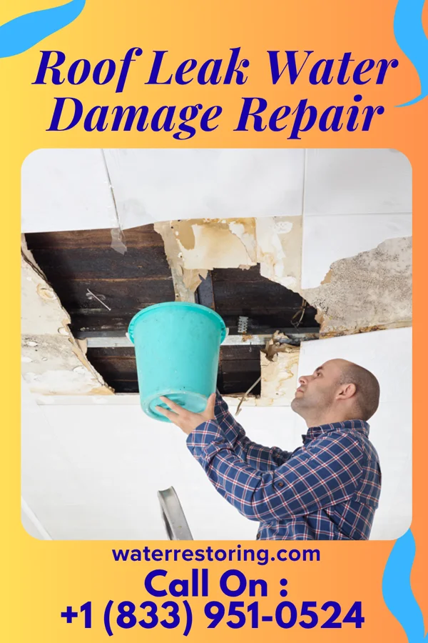 Roof Leak Water Damage Repair in Lower Berkshire Valley, NJ