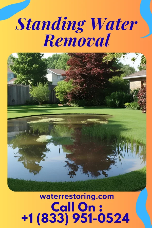 Standing Water Removal in Lower Berkshire Valley, NJ